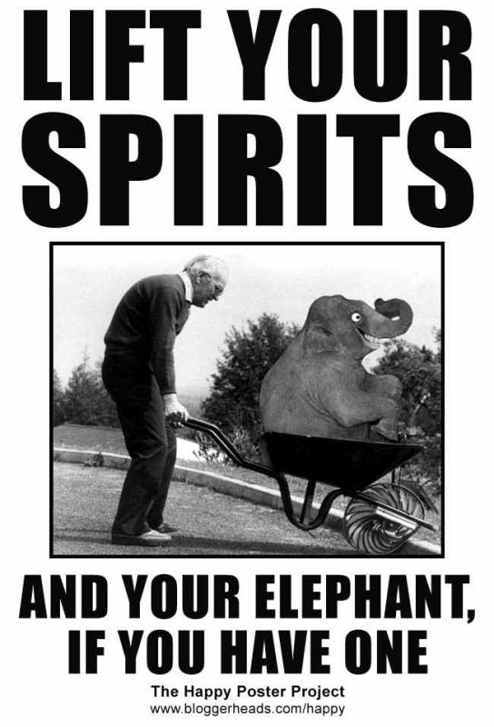 levanta el animo y tu elefante.jpg